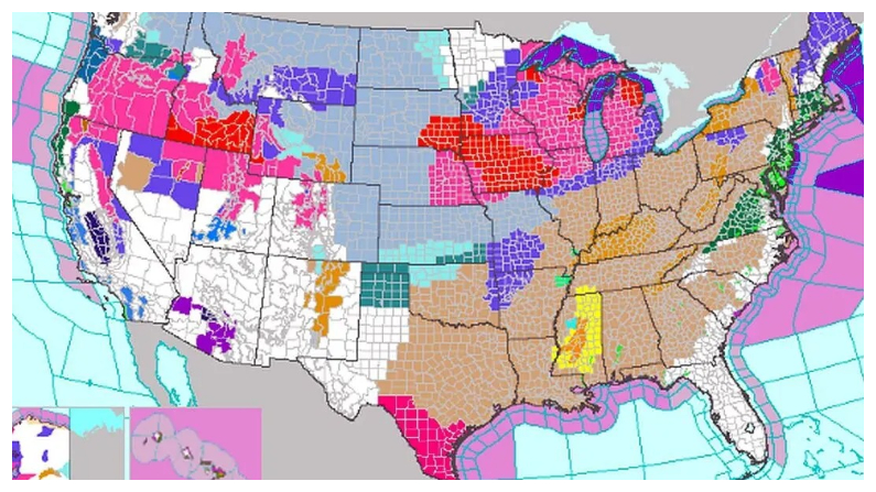 Un mapa publicado por el Servicio Meteorológico Nacional (NWS) de EE.UU. el viernes 12 de enero del 2024 muestra varios avisos y advertencias meteorológicos en los 50 estados. (Servicio Meteorológico Nacional de EE.UU.)
