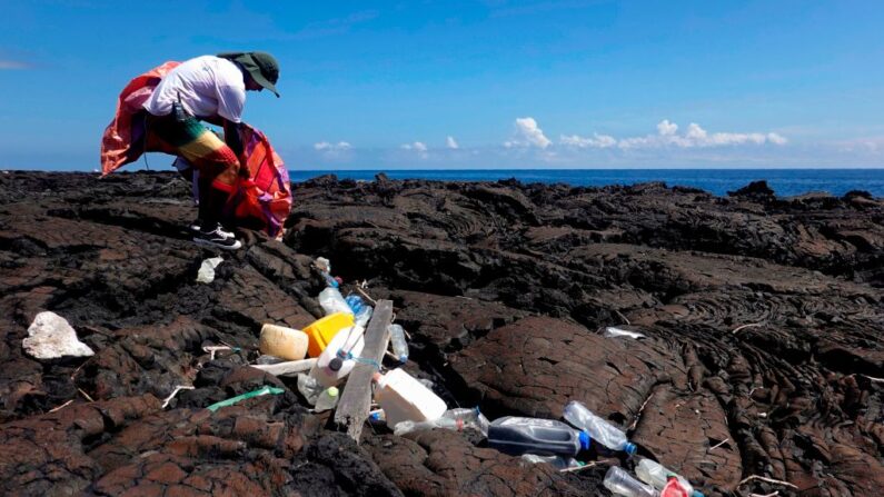 Un voluntario recoge basura en la costa de la isla Isabela en el archipiélago de Galápagos en el Océano Pacífico, a 1000 km de la costa de Ecuador, el 22 de febrero de 2019. (Rodrigo Buendia/AFP vía Getty Images)
