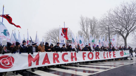 Miles de activistas Provida participan bajo la nieve en su anual marcha de Washington