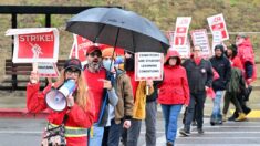 Profesores de la universidad pública más grande de EE.UU. inician huelga por mejora salarial