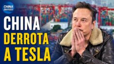 Empresa china derrota a Tesla y podría dominar el mercado estadounidense