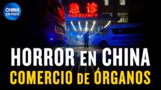 SOS desde el corazón de China: El escandaloso negocio de la sustracción de órganos