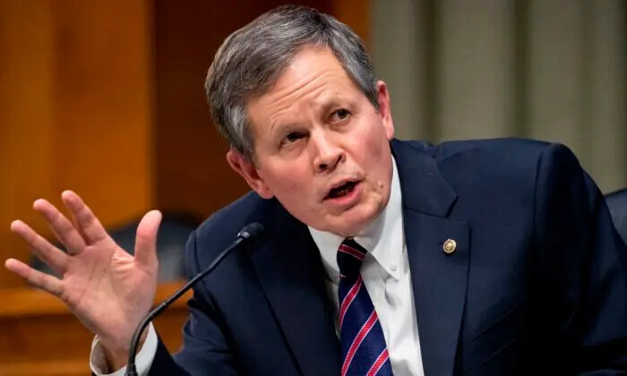 El senador republicano Steve Daines (Mont.) interroga a testigos en el Capitolio en Washington el 24 de febrero de 2021. (Michael Reynolds/Pool/AFP vía Getty Images)