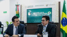 México y Brasil buscan protocolos para evitar la interrupción del comercio por gripe aviar