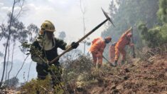 Colombia aumenta a 883 los municipios en alerta por riesgo de incendios forestales