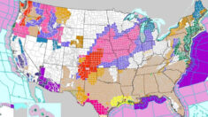 49 estados en alerta por el paso de una potente tormenta invernal a través de EE.UU.