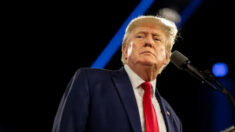 Trump pide «leyes fuertes» contra la AI tras las fotos falsas que lo muestran en el avión de Epstein