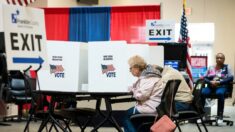 A quienes no sean ciudadanos americanos se les prohibiría votar en Kentucky, según proyecto de ley