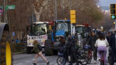 Persiste la protesta de agricultores españoles mientras el Gobierno redobla propuestas