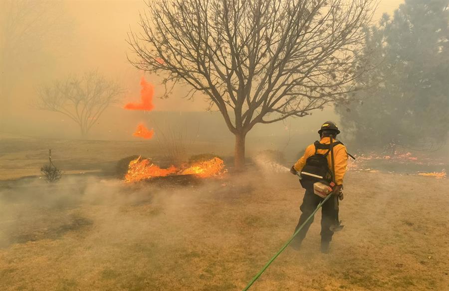 Más de 200,000 hectáreas devastadas por incendios forestales en Texas