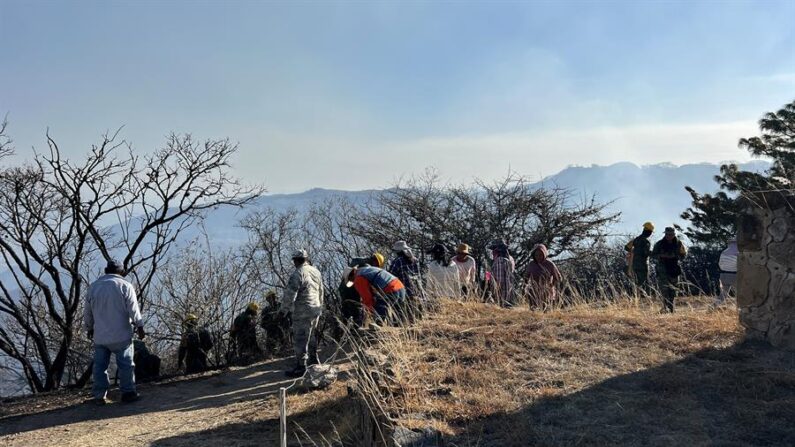 Personal del ejército mexicano controlan un incendio este jueves, en las cercanías de la zona arqueológica de Monte Albán en el municipio de Xoxocotlán, Oaxaca (México). EFE/Jesús Méndez