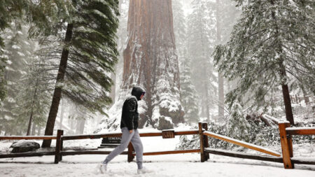 Declaran el estado de emergencia en el sur de California debido a tormenta invernal