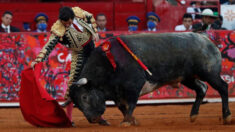 Un juez suspende las corridas de toros en dos municipios del estado mexicano de Puebla