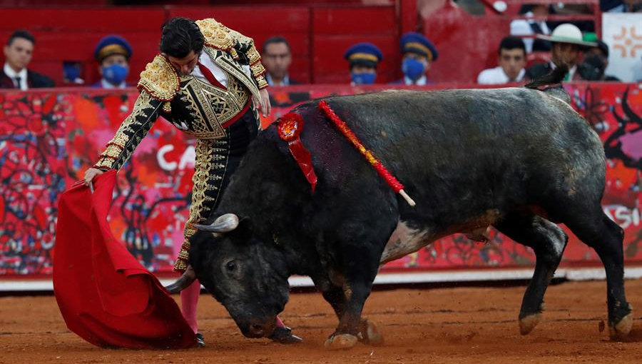 Un juez suspende las corridas de toros en dos municipios del estado mexicano de Puebla
