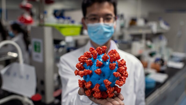 En esta imagen tomada el 29 de abril de 2020, un ingeniero muestra un modelo de plástico del coronavirus COVID-19 en el Laboratorio de Control de Calidad de las instalaciones de Sinovac Biotech en Beijing. (NICOLAS ASFOURI/AFP vía Getty Images)
