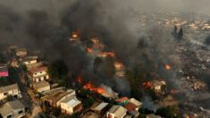 Intencionalidad de incendios en Chile está confirmada, dice gobernador