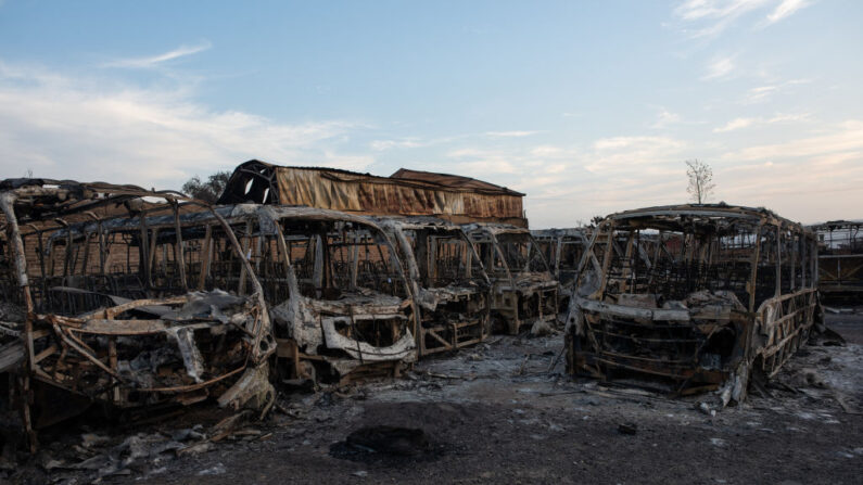 Autobuses quemados por incendios en una estación en El Olivar el 4 de febrero de 2024 en Viña del Mar, Chile. (Claudio Santana/Getty Images)