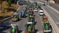 Miles de tractores entran en Barcelona para protestar por la crisis del sector agrícola