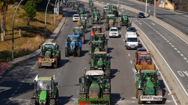 Agricultores conducen sus tractores durante una protesta por las condiciones de los agricultores y la política agrícola europea en la autopista, al norte de Barcelona, el 7 de febrero de 2024. (Pau Barrena/AFP vía Getty Images)