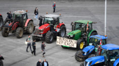 Agricultores del este y el sur de Europa protestan contra las políticas agrícolas y climáticas de la UE