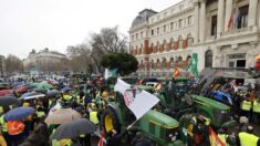 Las protestas agrícolas no cesan en España y apuntan a Madrid la próxima semana