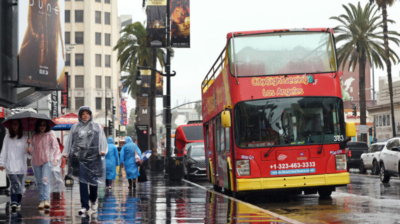 La gente camina bajo la lluvia en Hollywood Boulevard el 19 de febrero de 2024 en Los Ángeles, California (EE.UU.). (Mario Tama/Getty Images)