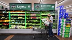 La verdad sobre los alimentos “orgánicos”: ¿Por qué ya no significan lo mismo?