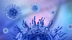 Vacunas y medicamentos contra COVID-19 duplican casos de debilidad inmunológica