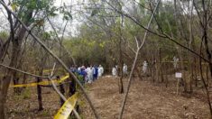 Descubren decena de fosas con 11 cadáveres en estado mexicano de Michoacán