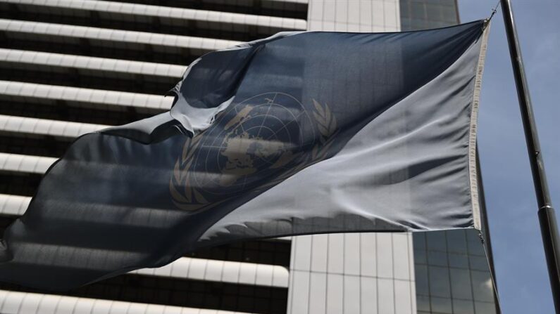 Fotografía de la bandera de las Naciones Unidas en el Edificio Parque Ávila, donde funciona la oficina del Alto Comisionado de los Derechos Humanos de la ONU, el 15 de febrero de 2024, en Caracas (Venezuela). EFE/ Miguel Gutiérrez