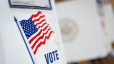 Corte anula ley que permite votar a los no ciudadanos en las elecciones de Nueva York