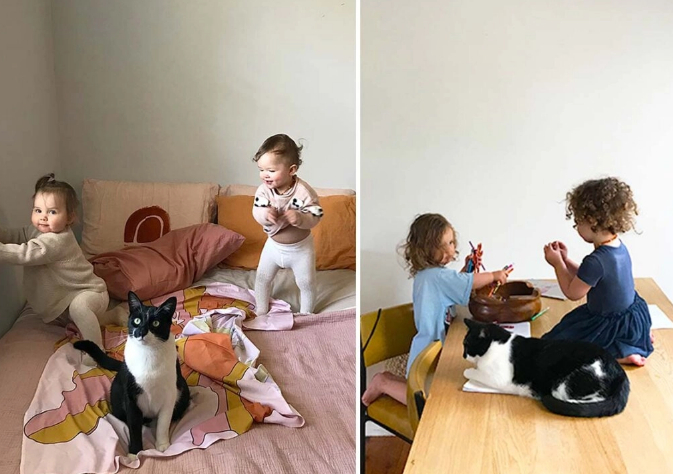Lealtad felina: Gato rescatado cuida con esmero a las gemelas de su dueña
