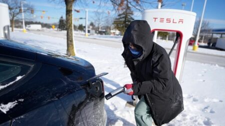 Ventas de vehículos eléctricos caen mientras estadounidenses siguen prefiriendo usar gasolina