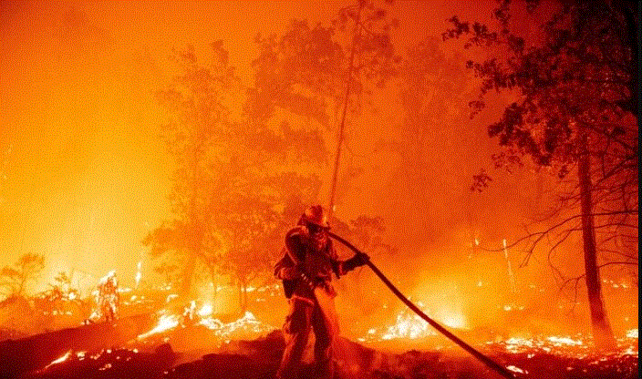 Un bombero apaga las llamas mientras avanzan hacia las casas durante el incendio de Creek en el área de Cascadel Woods del condado no incorporado de Madera, California, el 7 de septiembre de 2020. (Josh Edelson/AFP vía Getty Images)