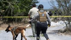 Detienen a sospechosos por cementerio clandestino en el norte de México