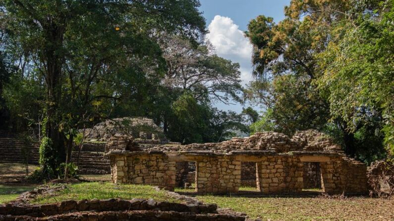 Fotografía de ruinas en la zona arqueológica de Yaxchilán, este martes 12 de marzo de 2024 en Ocosingo, estado de Chiapas (México). EFE/Carlos López