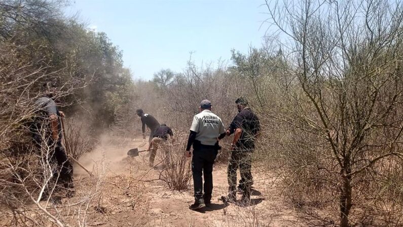 Fotografía de archivo de varios peritos revisando una fosa clandestina en México. EFE/Daniel Sánchez
