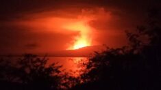 Volcán en isla de Galápagos entra en fuerte erupción lanzando lava al mar