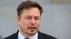 Elon Musk coincide con Massie en que proyecto de ley que prohíbe TikTok es un caballo de Troya