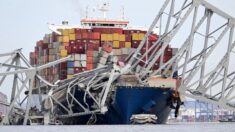 Importante puerto de EE. UU. queda paralizado tras derrumbe de puente de Baltimore