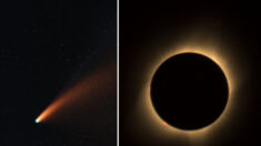 Cometa gigante regresa a nuestro sistema Solar tras 71 años y coincidirá con eclipse solar total