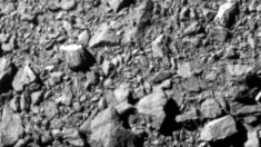Colisión con nave espacial de la NASA altera la forma del asteroide Dimorphos