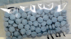 Muertes por sobredosis alcanzan una cifra récord según datos de los CDC