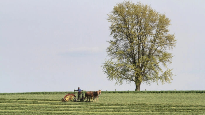 Un idílico paisaje rural con maquinaria agrícola tirada por mulas en el condado de Lancaster, Pensilvania, el 26 de abril de 2023. (Richard Moore/The Epoch Times)