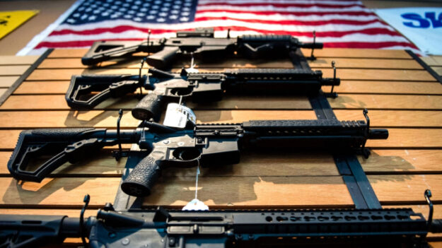 Corte de Nueva York confirma la ley de “bandera roja” sobre armas de fuego