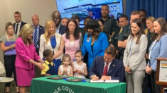 Florida no aceptará licencias de conducir de otros estados a los inmigrantes ilegales