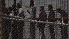 CBP no recoge muestras de ADN de inmigrantes ilegales, señala el senador Chuck Grassley