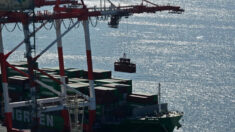 China podría tomar control remoto de grúas en puertos de EE.UU. con raro aparato: carta al Congreso