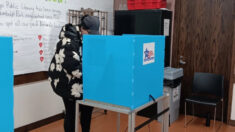 Junta Electoral omitió contar «por error» más de 9000 votos por correo en elecciones primarias de Chicago