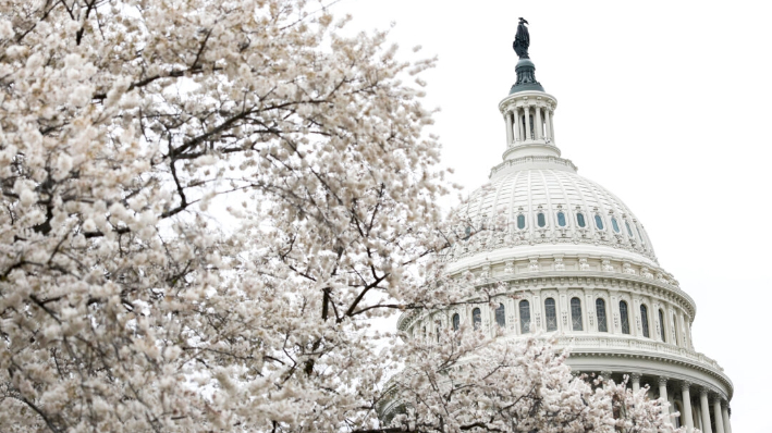 La cúpula del Capitolio de Estados Unidos en Washington el 22 de marzo de 2024. (Anna Moneymaker/Getty Images)